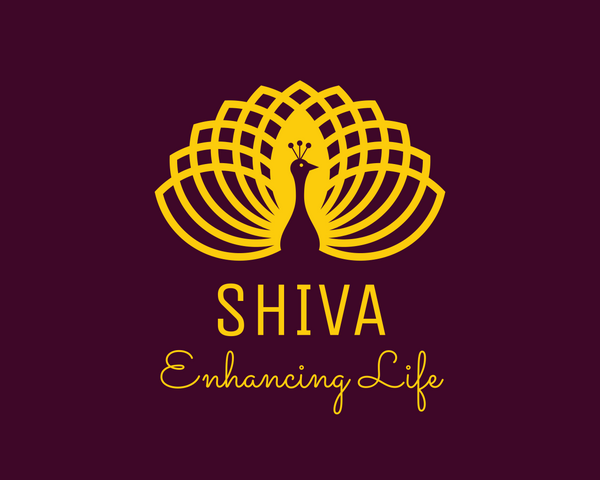 ShivaBV